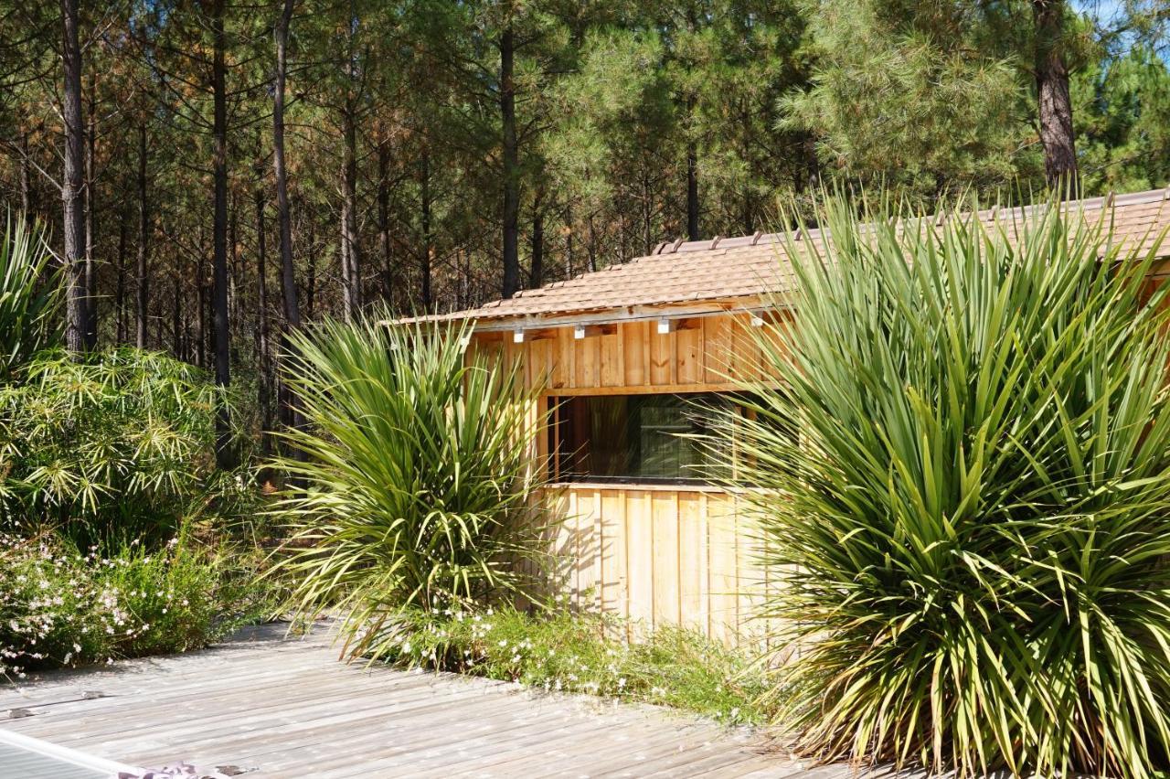 Vacances Ocean Maison Bois Lege Cap Ferret 1-4P Villa Ngoại thất bức ảnh